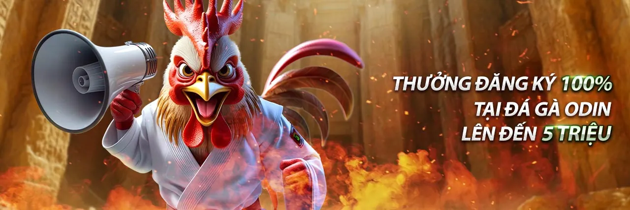 Hỗ Trợ Khách Hàng 24/7