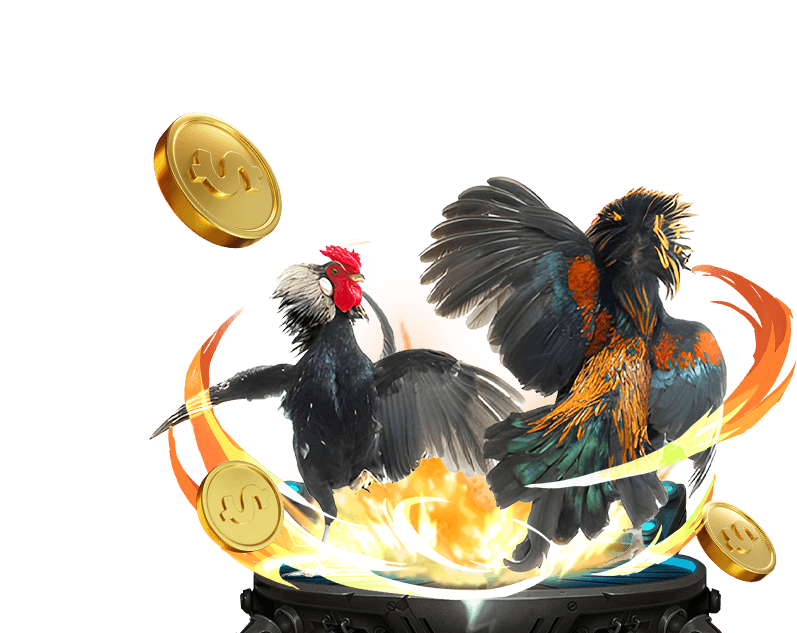 Đa Dạng Kèo Cược Đá Gà Hấp Dẫn