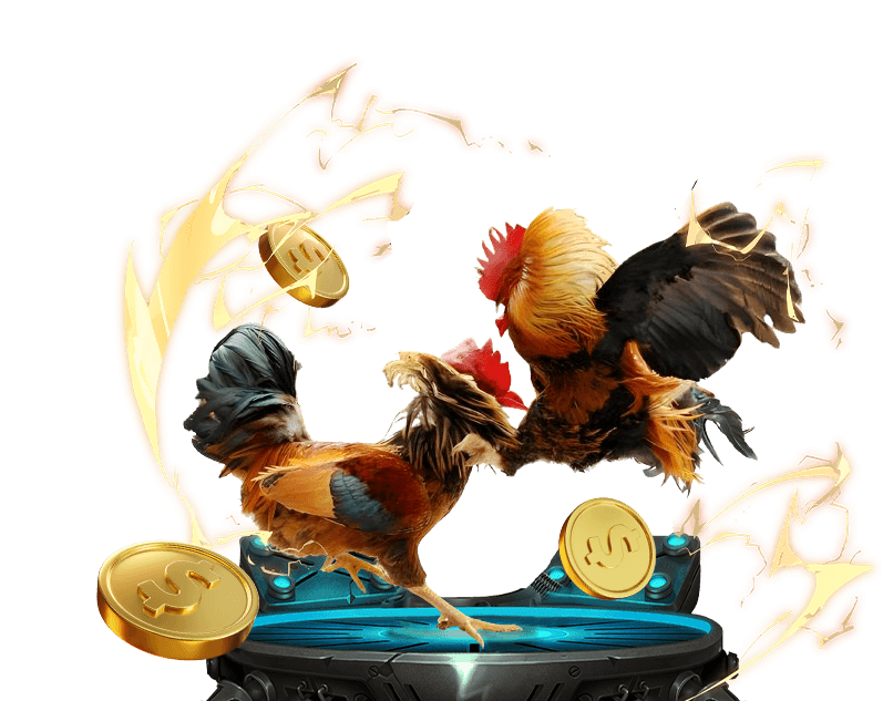 Đá Gà Trực Tuyến - Cá Cược Hấp Dẫn Cùng Bắn Cá Đổi Thưởng